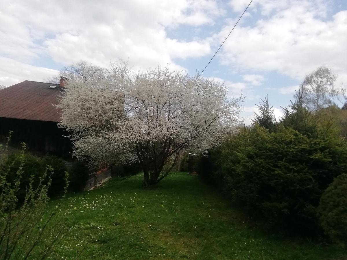 Rzeczne Zacisze Hotel Ustrzyki Dolne Luaran gambar